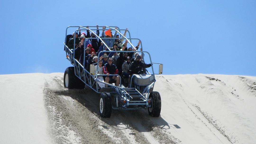 sand dune tours florence or
